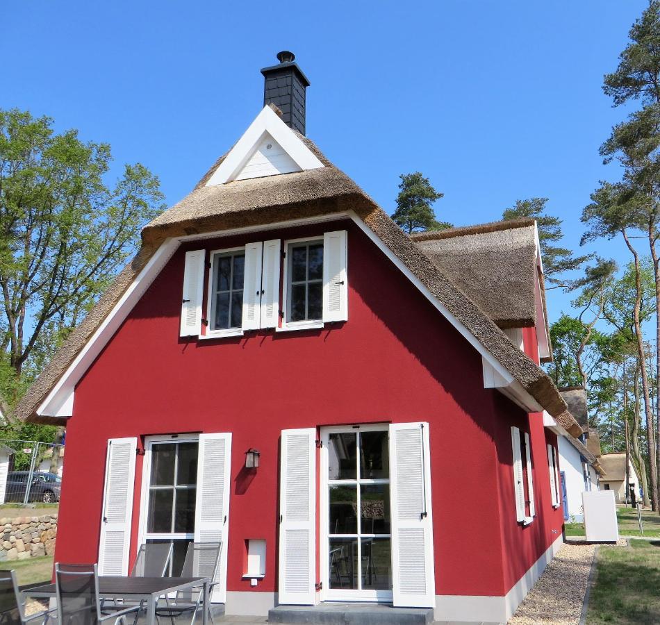 Reetdachhaus Am Haff Mit Sauna, Terrasse, Wlan Zirchow 외부 사진