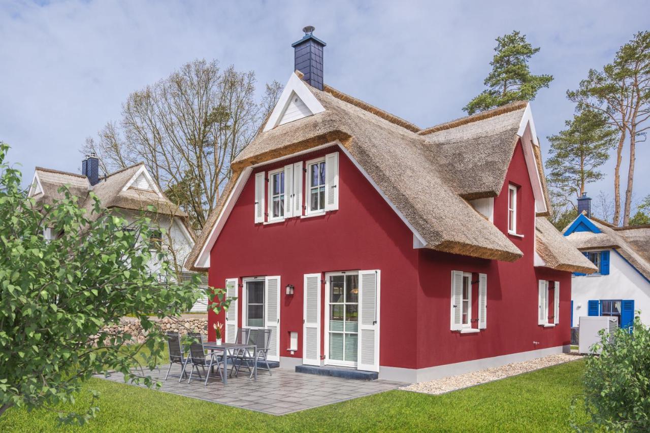 Reetdachhaus Am Haff Mit Sauna, Terrasse, Wlan Zirchow 외부 사진